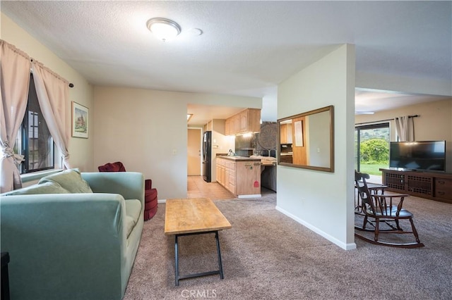 3876 Orcutt Rd, San Luis Obispo, CA 93401 - living area featuring light colored carpet, baseboards, and a textured ceiling