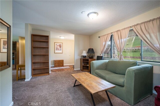 3876 Orcutt Rd, San Luis Obispo, CA 93401 - carpeted living room with a textured ceiling