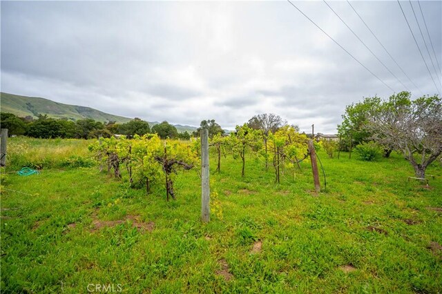 3876 Orcutt Rd, San Luis Obispo, CA 93401 - view of local wilderness featuring a mountainous background