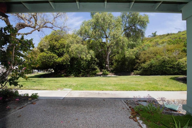 4402 Shearwater Way, Oceanside, CA 92057 - view of green lawn