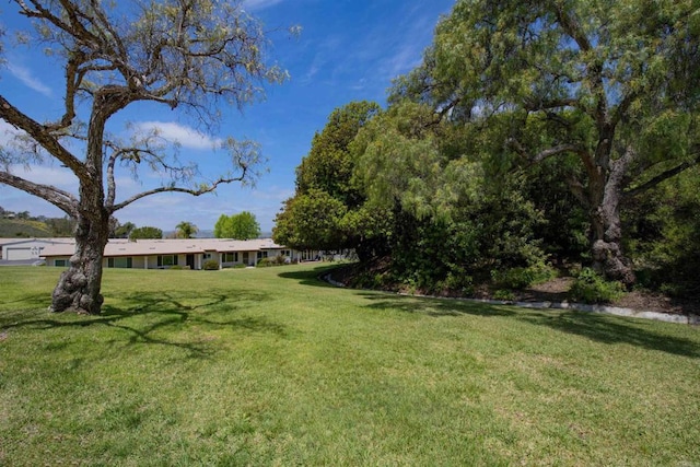 4402 Shearwater Way, Oceanside, CA 92057 - view of green lawn