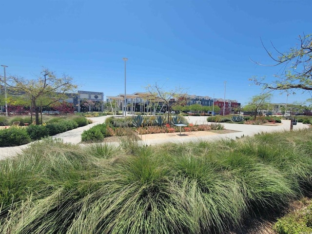 2072 Tango Loop Unit 2, Chula Vista, CA 91915 - view of community