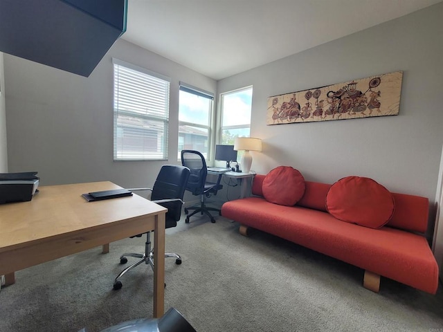 2072 Tango Loop Unit 2, Chula Vista, CA 91915 - home office with carpet