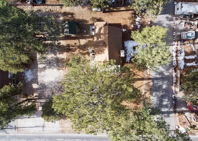 298 Maple Ln, Sugarloaf, CA 92386 - photo 29