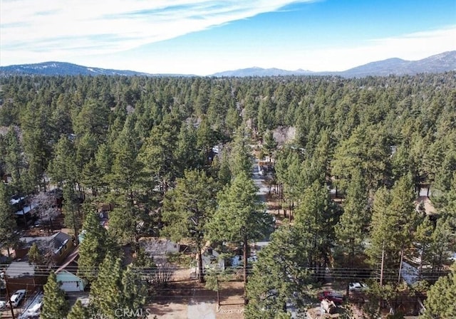 298 Maple Ln, Sugarloaf, CA 92386 - photo 30