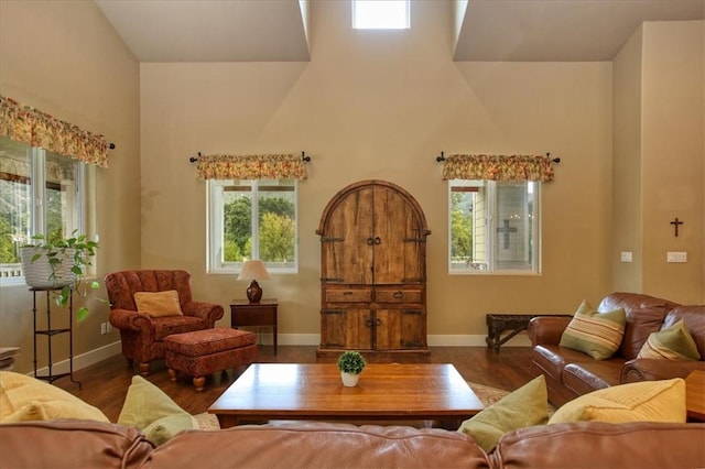 7550 Mary Hall Rd, Arroyo Grande, CA 93420 - living area with baseboards, plenty of natural light, wood finished floors, and a high ceiling
