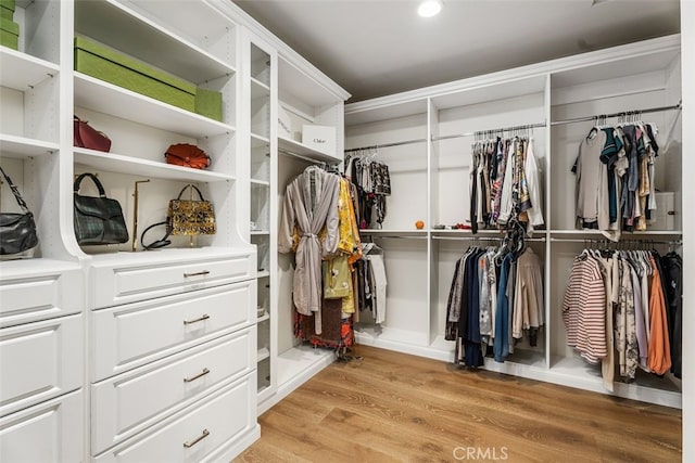 35 Shoreline Dr, Dana Point, CA 92629 - walk in closet featuring light wood-style floors