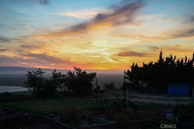1561 Cielo Ln, Nipomo, CA 93444 - view of yard at dusk
