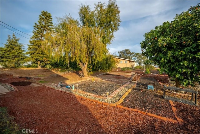 1561 Cielo Ln, Nipomo, CA 93444 - view of yard with a vegetable garden