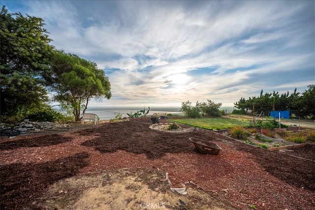 1561 Cielo Ln, Nipomo, CA 93444 - view of yard with a vegetable garden