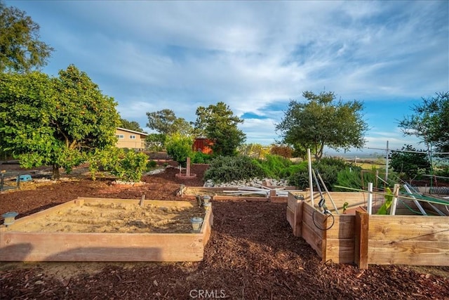 1561 Cielo Ln, Nipomo, CA 93444 - view of yard with a garden