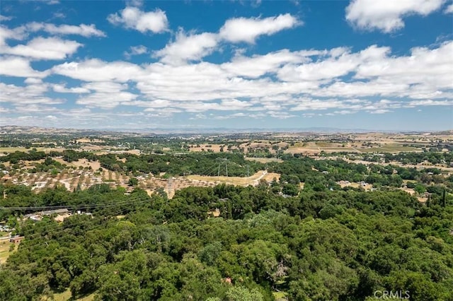 drone / aerial view of a forest