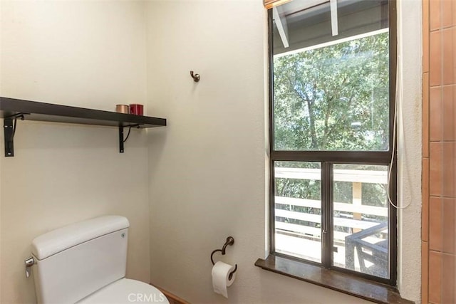 bathroom featuring toilet
