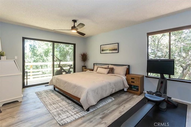 bedroom with access to exterior, a textured ceiling, multiple windows, and wood finished floors