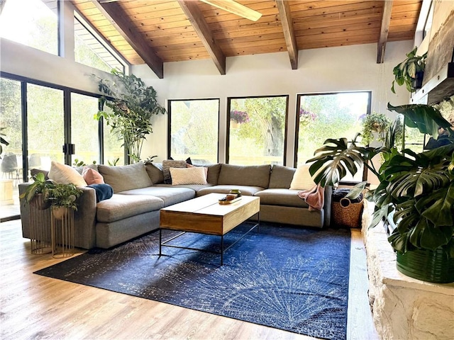 living room featuring wood finished floors and wood ceiling
