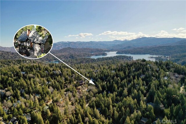 300 Pioneer Rd, Lake Arrowhead, CA 92352 - view of mountain background featuring a heavily wooded area and a large body of water