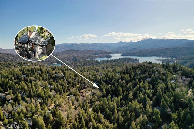 300 Pioneer Rd, Lake Arrowhead, CA 92352 - photo 51