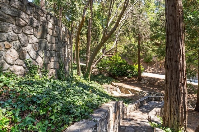300 Pioneer Rd, Lake Arrowhead, CA 92352 - view of yard