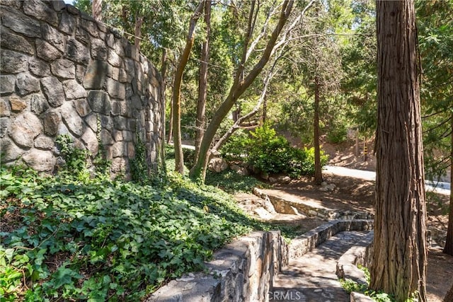 300 Pioneer Rd, Lake Arrowhead, CA 92352 - photo 46