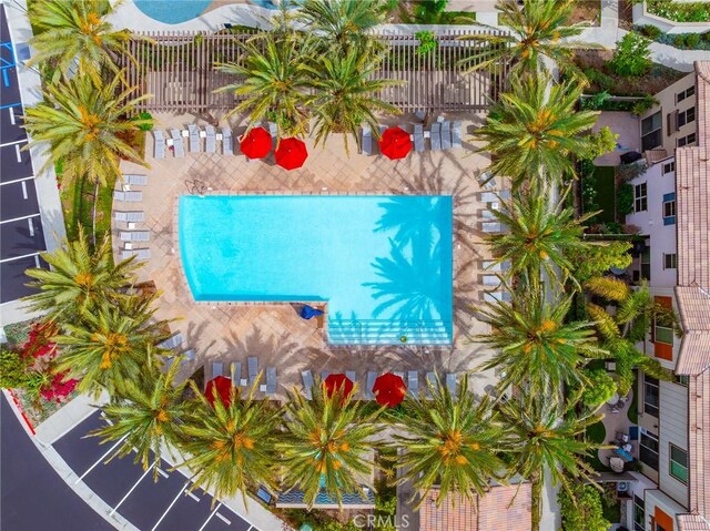 1609 Fig Tree Way, Oceanside, CA 92056 - drone / aerial view of a pool area