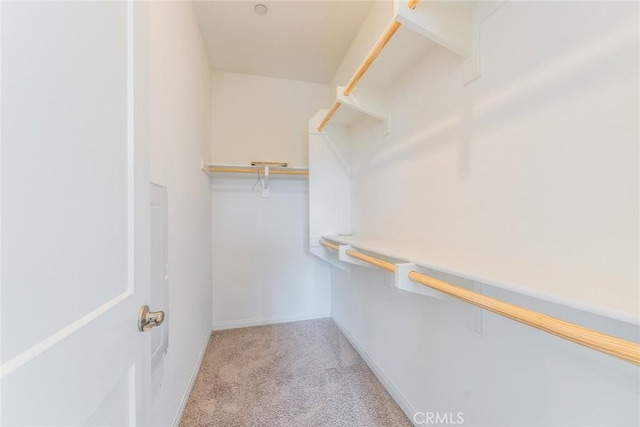1609 Fig Tree Way, Oceanside, CA 92056 - spacious closet featuring light carpet