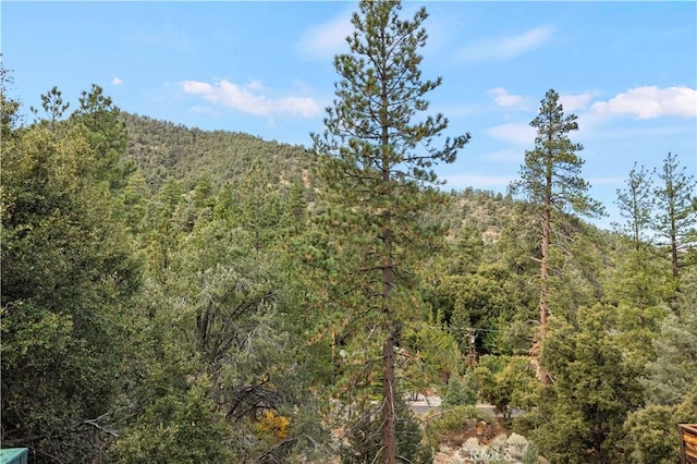 1513 Bernina Dr, Pine Mountain Club, CA 93222 - view of wooded area