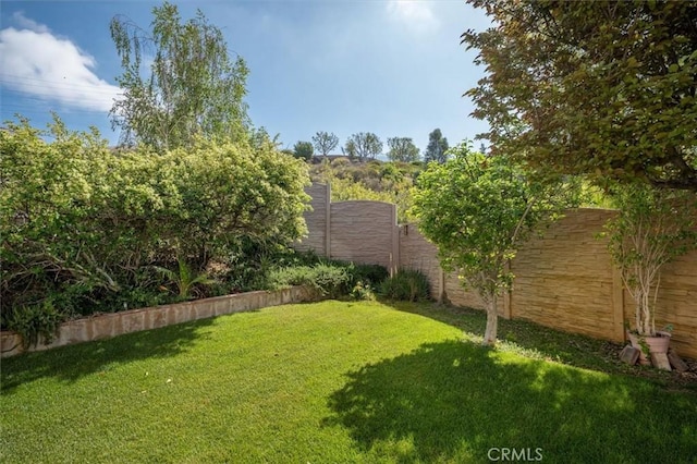 28652 Deer Springs Dr, Saugus, CA 91390 - view of yard