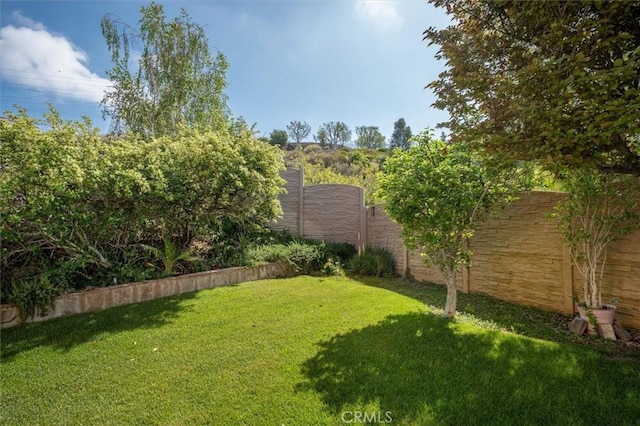 28652 Deer Springs Dr, Saugus, CA 91390 - view of fenced yard