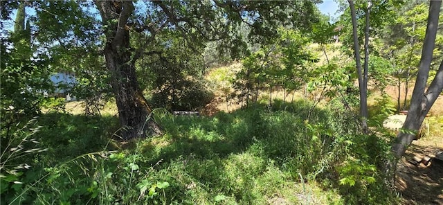 12618 Foot Hill Blvd, Clearlake Oaks, CA 95423