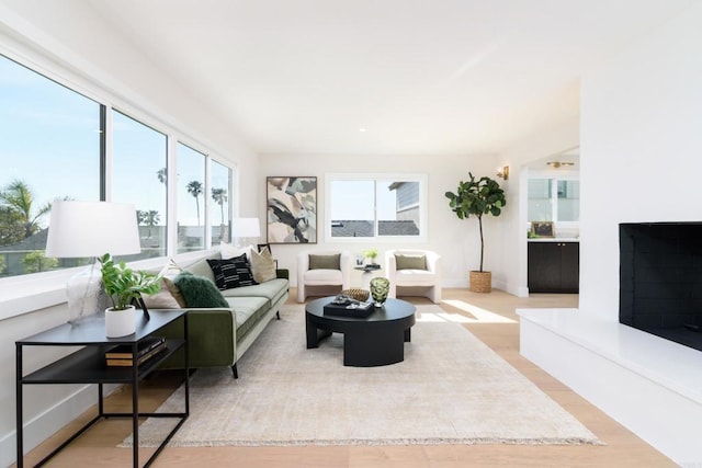 living area with wood finished floors