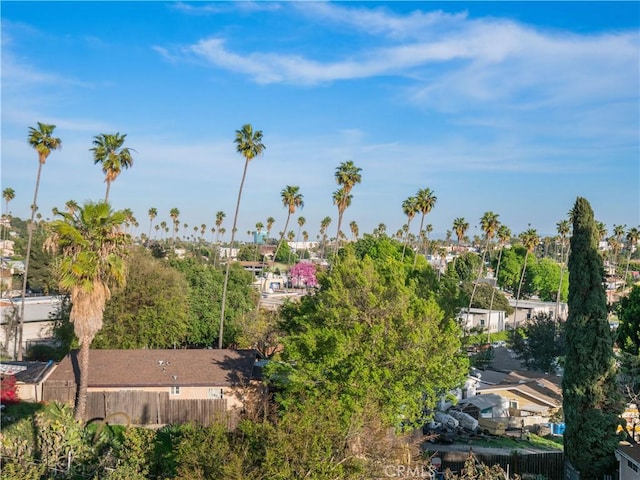 3810 Locke Ave, Los Angeles, CA 90032 - aerial view of residential area