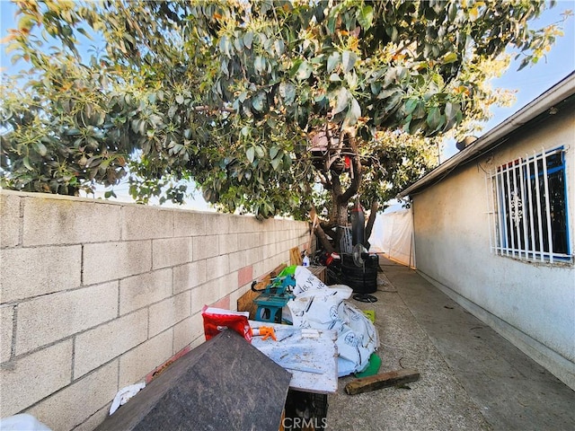 1210 W Manchester Ave, Los Angeles, CA 90044 - view of fenced backyard