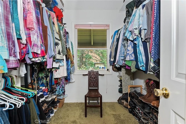 26349 Walnut Hills Dr, Lake Arrowhead, CA 92391 - spacious closet featuring carpet