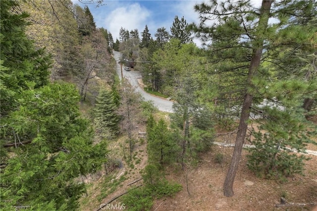 26349 Walnut Hills Dr, Lake Arrowhead, CA 92391 - view of woods