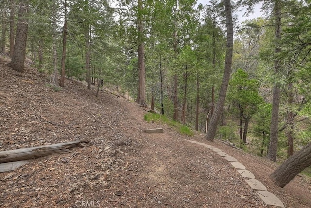 26349 Walnut Hills Dr, Lake Arrowhead, CA 92391 - view of tree filled area