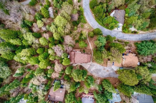 26349 Walnut Hills Dr, Lake Arrowhead, CA 92391 - aerial view of property and surrounding area