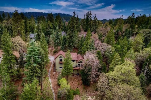 26349 Walnut Hills Dr, Lake Arrowhead, CA 92391 - view of subject property featuring a heavily wooded area