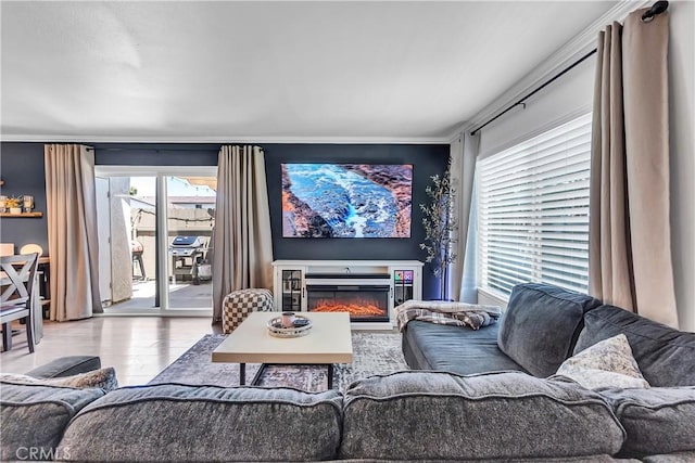 living area featuring wood finished floors, ornamental molding, and a glass covered fireplace