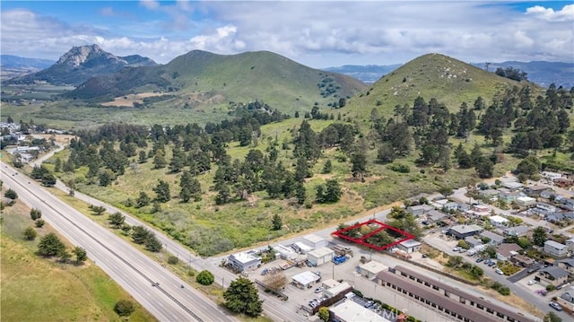 690 La Loma Ave, Morro Bay, CA 93442 - photo 41