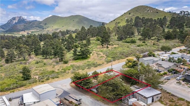 690 La Loma Ave, Morro Bay, CA 93442 - photo 52