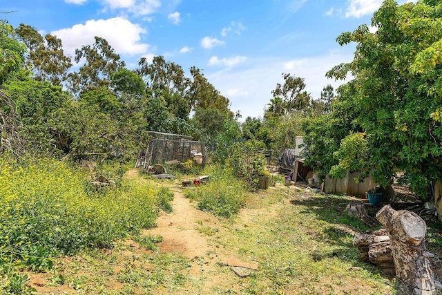 2163 Gracey Ln, Fallbrook, CA 92028 - view of yard
