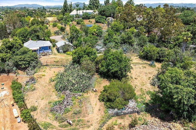 2163 Gracey Ln, Fallbrook, CA 92028 - bird's eye view of a tree filled landscape