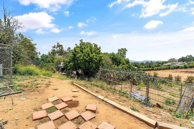 2163 Gracey Ln, Fallbrook, CA 92028 - view of yard with a garden