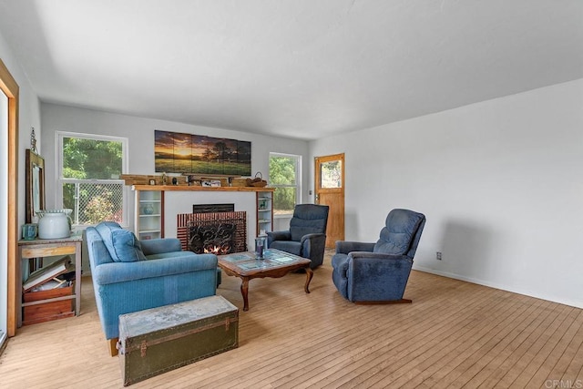 2163 Gracey Ln, Fallbrook, CA 92028 - living area featuring light wood-style floors, a fireplace, and baseboards