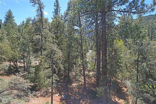 1801 Bernina Dr, Pine Mountain Club, CA 93222 - photo 23