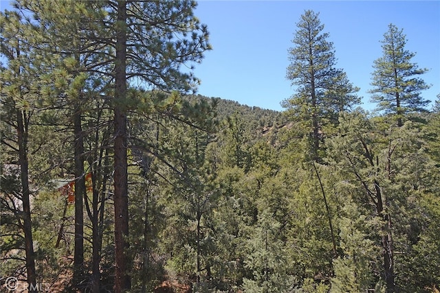 1801 Bernina Dr, Pine Mountain Club, CA 93222 - photo 40