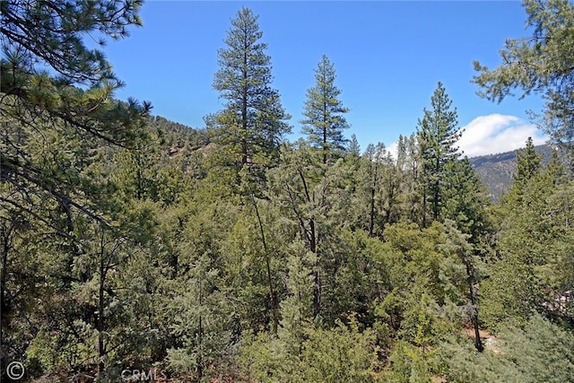 1801 Bernina Dr, Pine Mountain Club, CA 93222 - photo 39