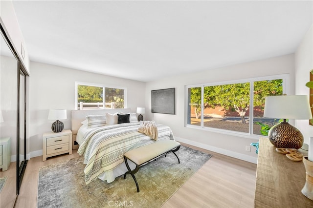 29140 Via Norte, Temecula, CA 92591 - bedroom featuring wood finished floors and a closet
