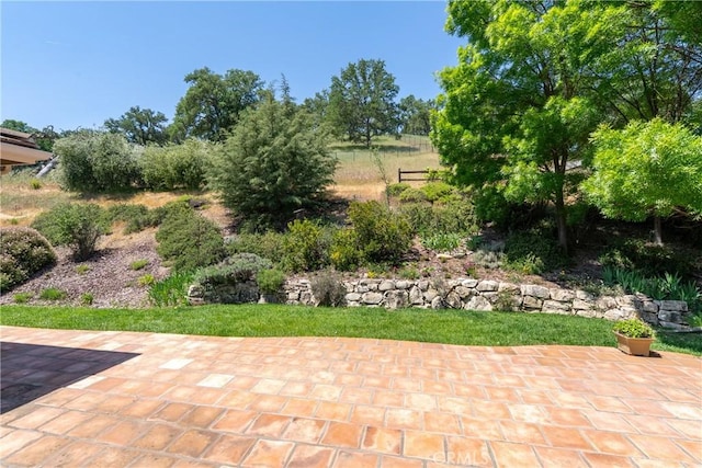 9539 Carmel Rd, Atascadero, CA 93422 - view of yard with a patio area