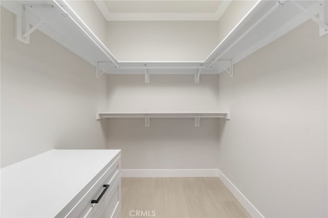 2202 Via Mariposa E Unit B, Laguna Woods, CA 92637 - walk in closet featuring light wood-style flooring